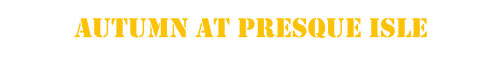 AUTUMN AT PRESQUE ISLE