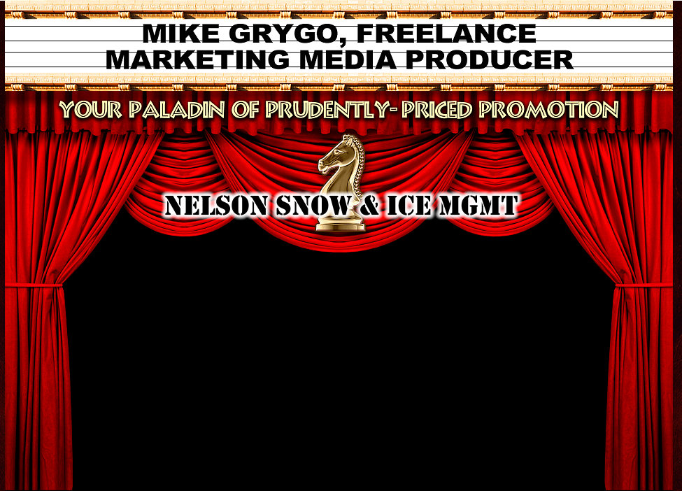 NELSON SNOW & ICE MGMT NELSON SNOW & ICE MGMT